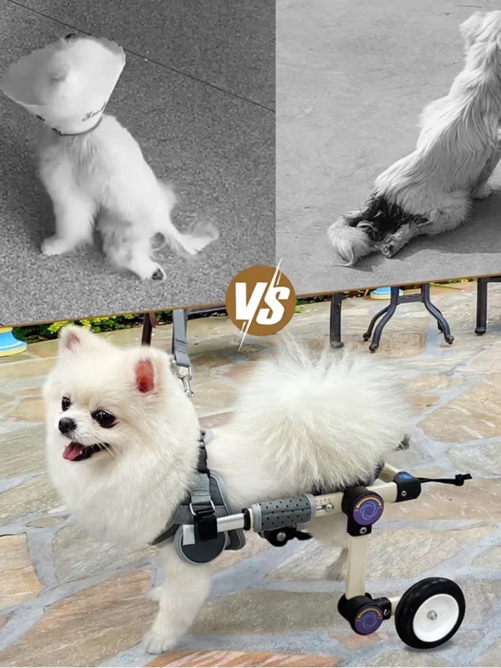 Adjustable Dog Wheelchair Harness for Small Dogs - Gray and Neon Green